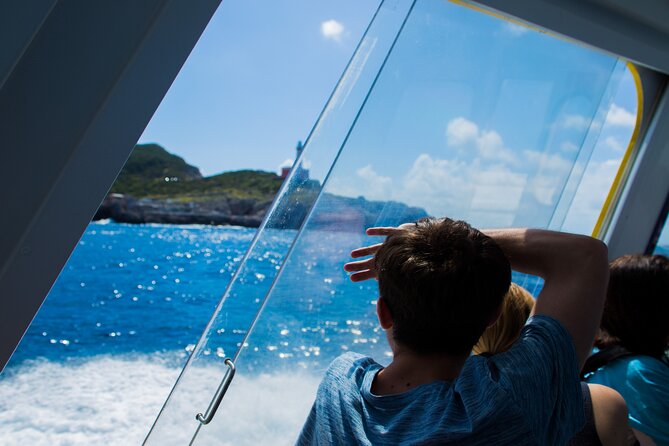 Sorrento to Capri and back: Minicruise Daily Return Ticket - Who should book this Capri minicruise?