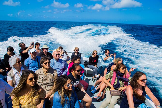 Sorrento to Capri and back: Minicruise Daily Return Ticket - What the crossing gives you