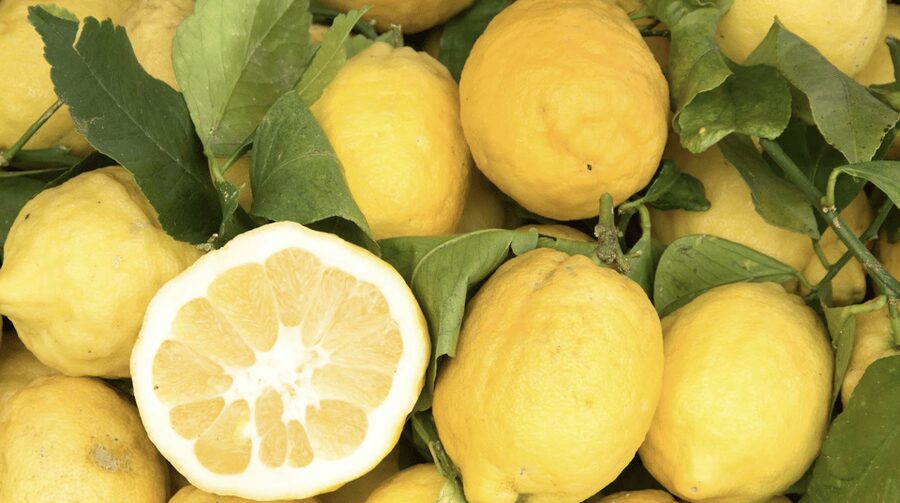Sorrento: Walking Tour in Lemon Garden w/ Food Tasting - Walking through lemons, olives, and old farm buildings