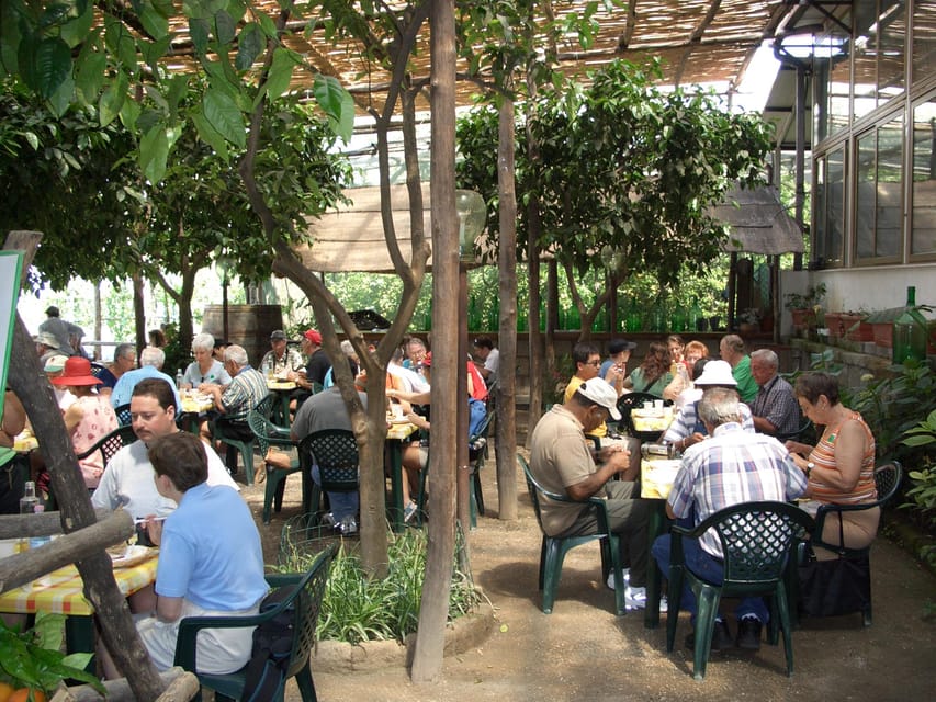 Sorrento: Walking Tour in Lemon Garden w/ Food Tasting - The farm lunch, not just a sample plate