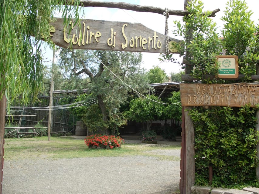 Sorrento: Walking Tour in Lemon Garden w/ Food Tasting - Limoncello, marmalade, and the family shop