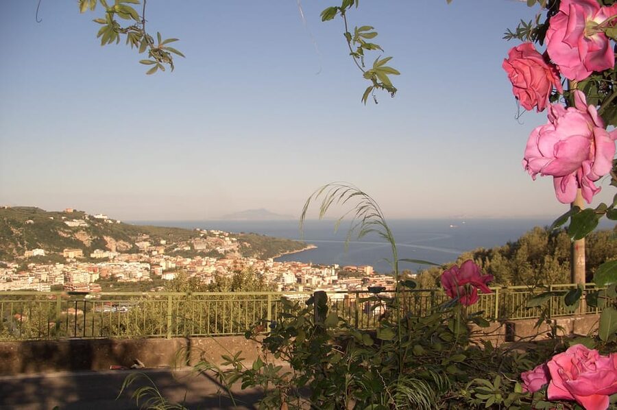 Sorrento: Walking Tour in Lemon Garden w/ Food Tasting - Is $81 a fair price for 90 minutes?