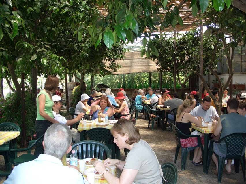 Sorrento: Walking Tour in Lemon Garden w/ Food Tasting - Who will enjoy this Sorrento farm experience?