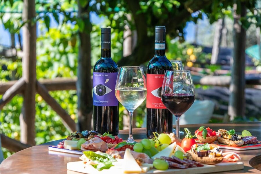 Sorrento: Wine Tasting Overlooking the Sea in a Lemon Grove - Should you book the Sorrento lemon grove tasting?