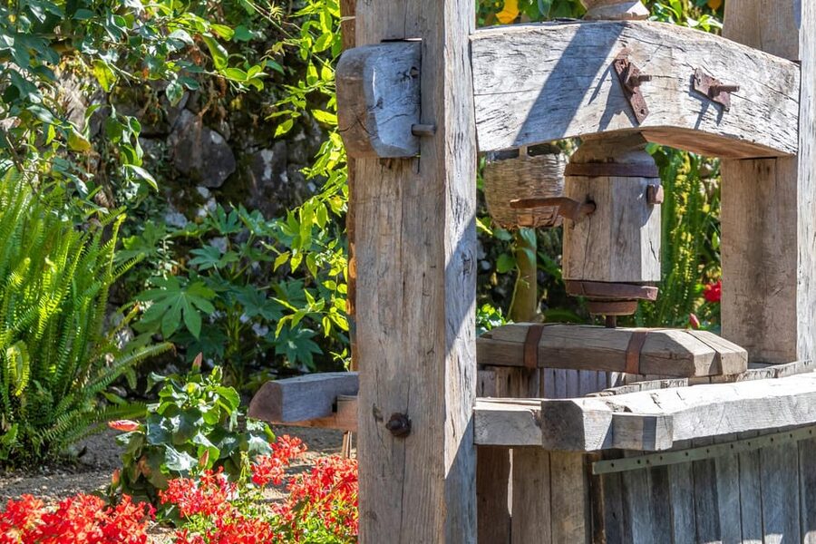 Sorrento: Wine Tasting Overlooking the Sea in a Lemon Grove - A farmhouse garden above the sea