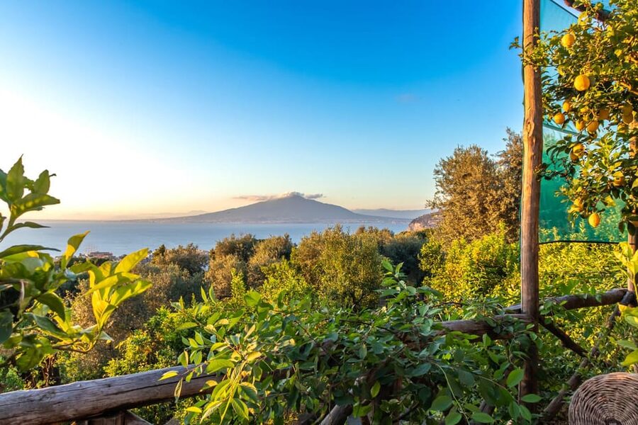 Sorrento: Wine Tasting Overlooking the Sea in a Lemon Grove - What the sommelier adds