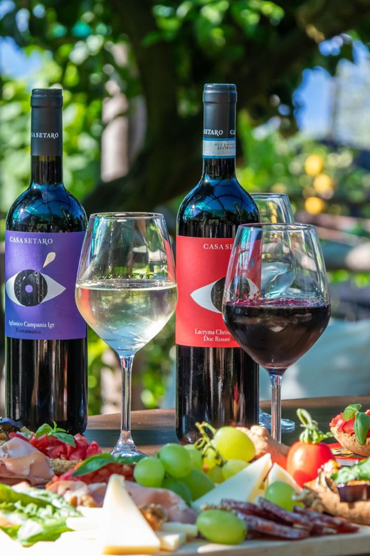 Sorrento: Wine Tasting Overlooking the Sea in a Lemon Grove - Is $112.15 a good value?