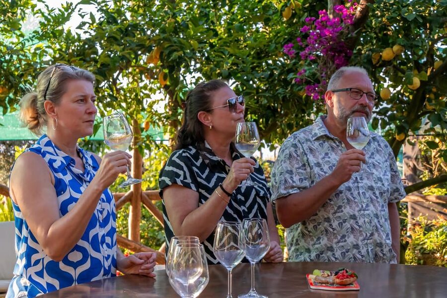 Sorrento: Wine Tasting Overlooking the Sea in a Lemon Grove - Who will enjoy this tasting most?