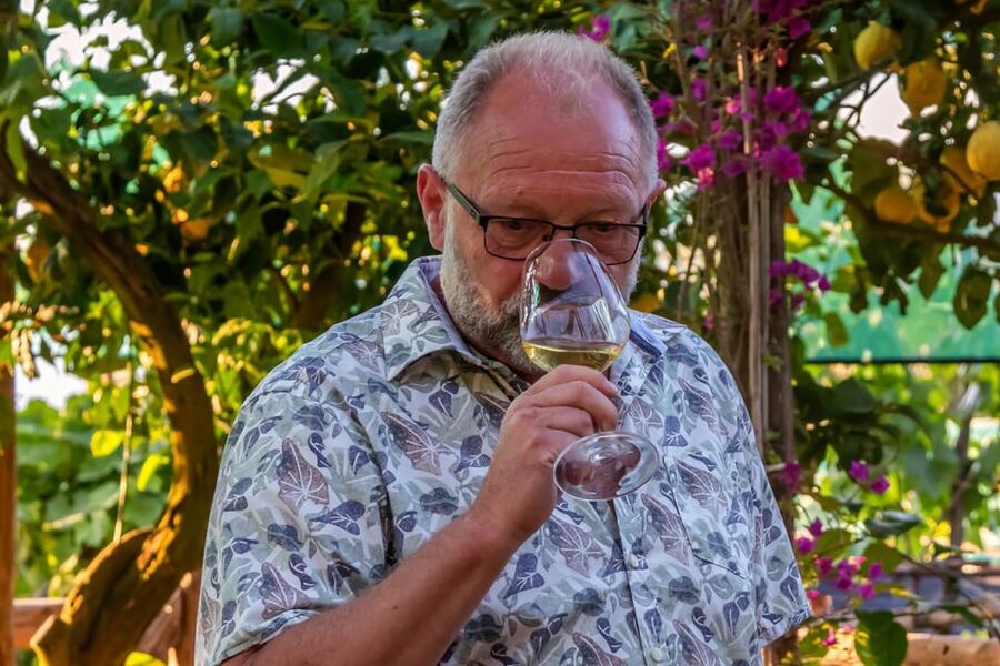 Sorrento: Wine Tasting Overlooking the Sea in a Lemon Grove - Timing, cancellation, and practical details
