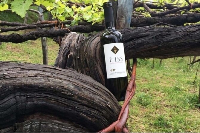 Tenuta San Francesco Wine Tasting - Key points to know before booking