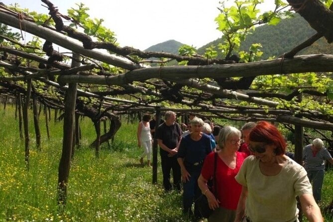 Tenuta San Francesco Wine Tasting - Inside the 18th-century Masseria