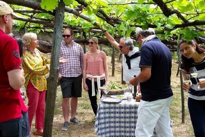 Tenuta San Francesco Wine Tasting - What the private format changes