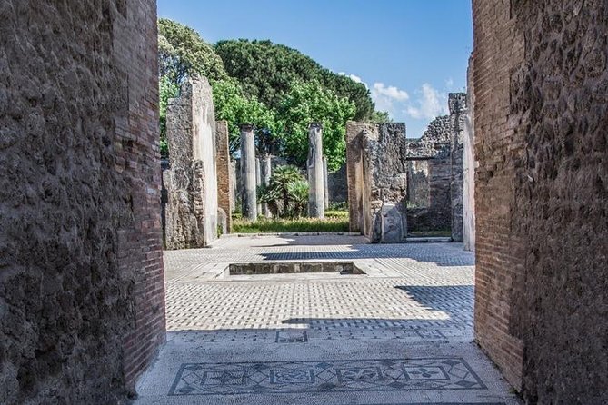 The real life in the old Pompeii tour with Archaelogical Guide All Inclusive - Leaving the Sorrento Coast at 8:00 a.m.