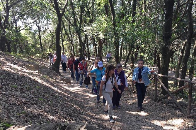 Tour in the ruins of Cuma with an archaeologist. - Who should book this Cuma tour