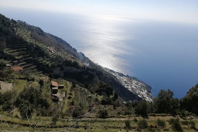 Trail of the gods with local guide Saveria Fiore "Ladybug" - Plants, animals, and the working countryside