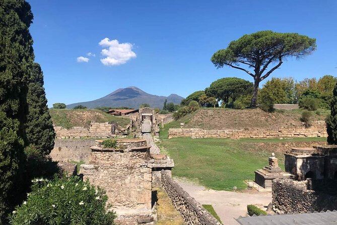 Transfer Naples airport/station to Sorrento with stop in Pompeii - Meeting your driver at Naples Airport or the train station