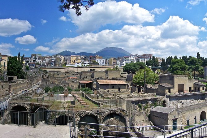 Vesuvius,Herculaneum,Pompeii from Naples or Sorrento - What the guide and vehicle arrangement means