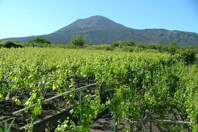 Vesuvius & Vineyard select from Sorrento - Who should book this excursion?