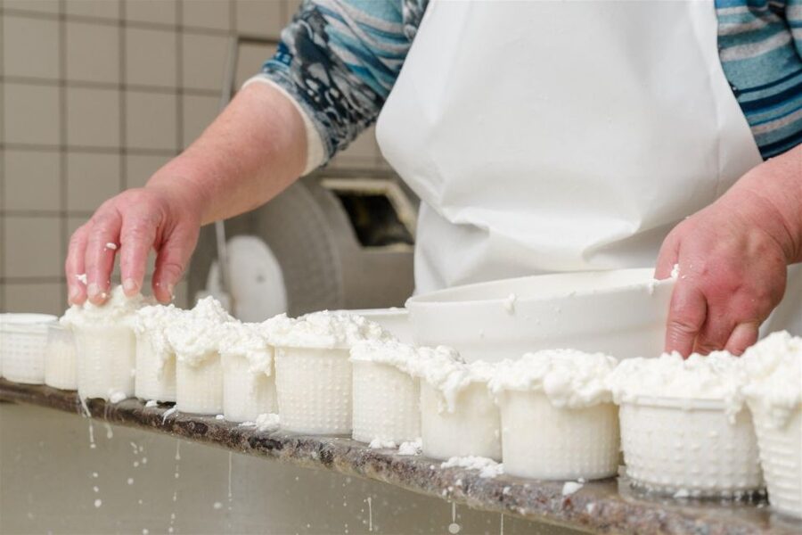 Vico Equense: Tour in the dairy "Mozzarella Experience" - Key points to know before booking