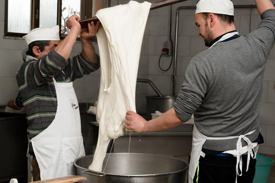 Vico Equense: Tour in the dairy "Mozzarella Experience" - A working dairy, not a staged food show