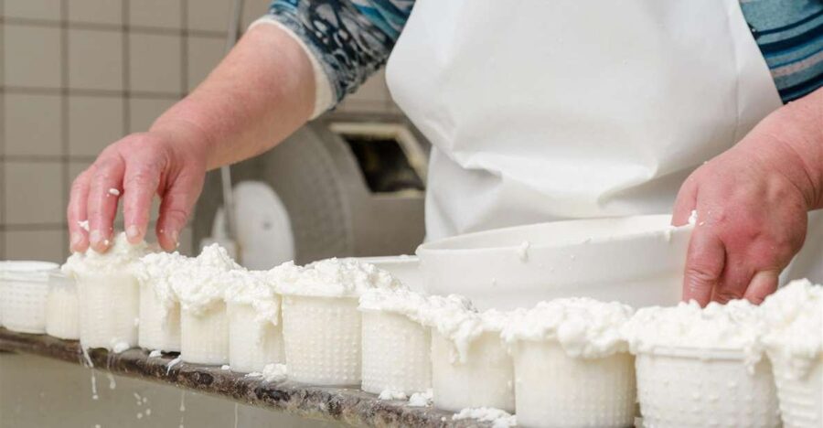 Vico Equense: Tour in the dairy "Mozzarella Experience" - The cheeses you learn to recognize