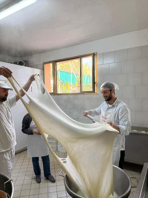 Vico Equense: Tour in the dairy "Mozzarella Experience" - A long tasting beneath Sorrento lemons