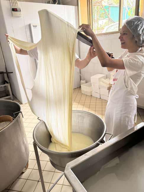 Vico Equense: Tour in the dairy "Mozzarella Experience" - What the $80 price really covers