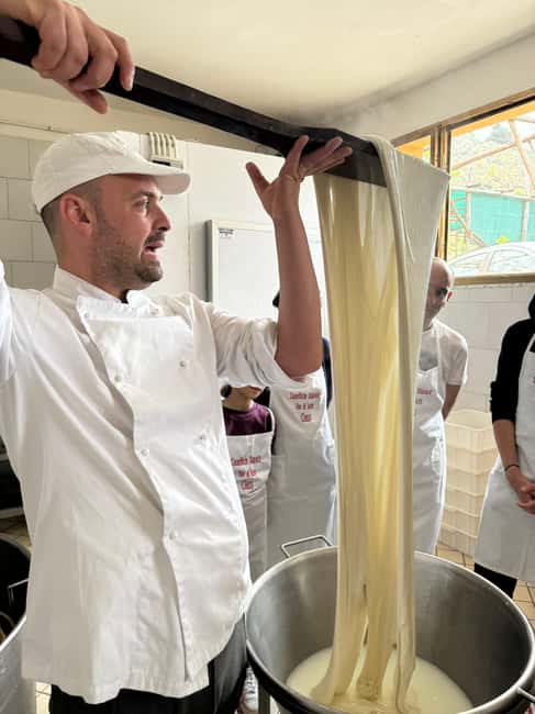 Vico Equense: Tour in the dairy "Mozzarella Experience" - The setting, the family, and the tone