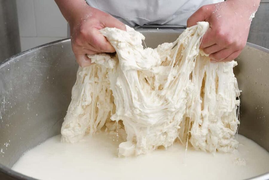 Vico Equense: Tour in the dairy "Mozzarella Experience" - Who will enjoy this most