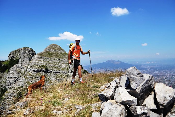 Walk around Faito Mountain, the Highest Point of the Amalfi Coast and Sorrento Peninsula - Key points to know before you book