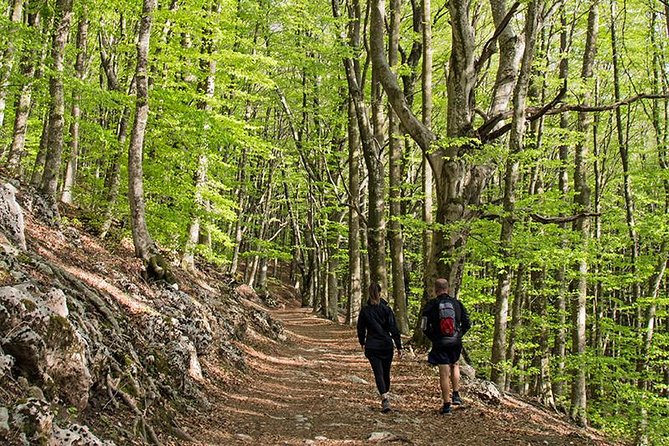Walk around Faito Mountain, the Highest Point of the Amalfi Coast and Sorrento Peninsula - Following the ridge for the big views