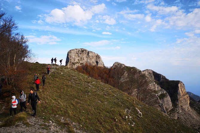 Walk around Faito Mountain, the Highest Point of the Amalfi Coast and Sorrento Peninsula - Returning through the old beech trees