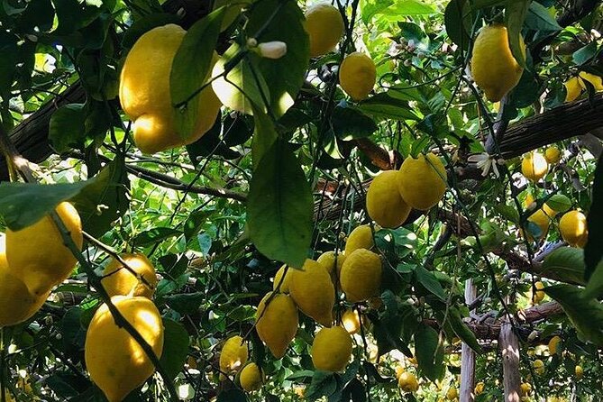 Walking tour from Minori to Maiori along the Path of the Lemons - What to Wear and Carry
