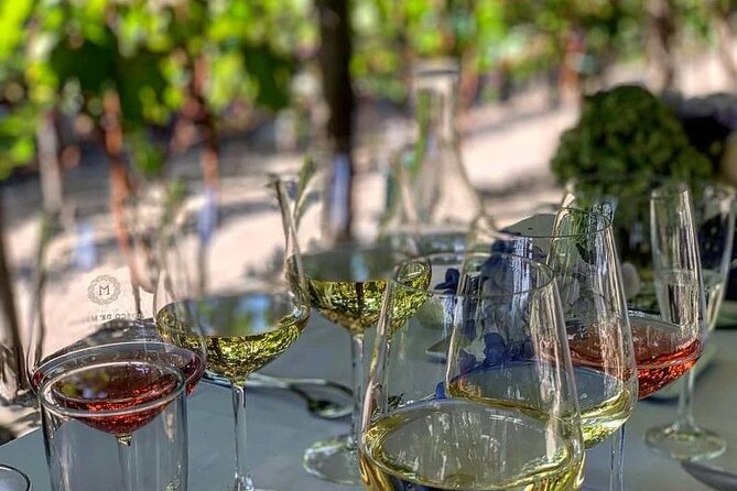 Wine Tasting Including Lunch - A lunch built around the wine