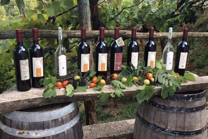 Wine Tour (lunch included) - Continuing to Cantina Tagliafierro